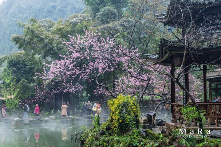 福建宁德:客流高峰,宁德站温馨服务助力学生回家!